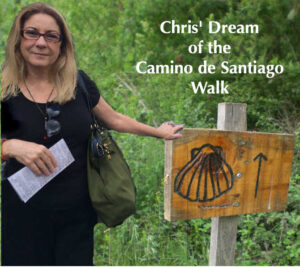 camino de santiago sign